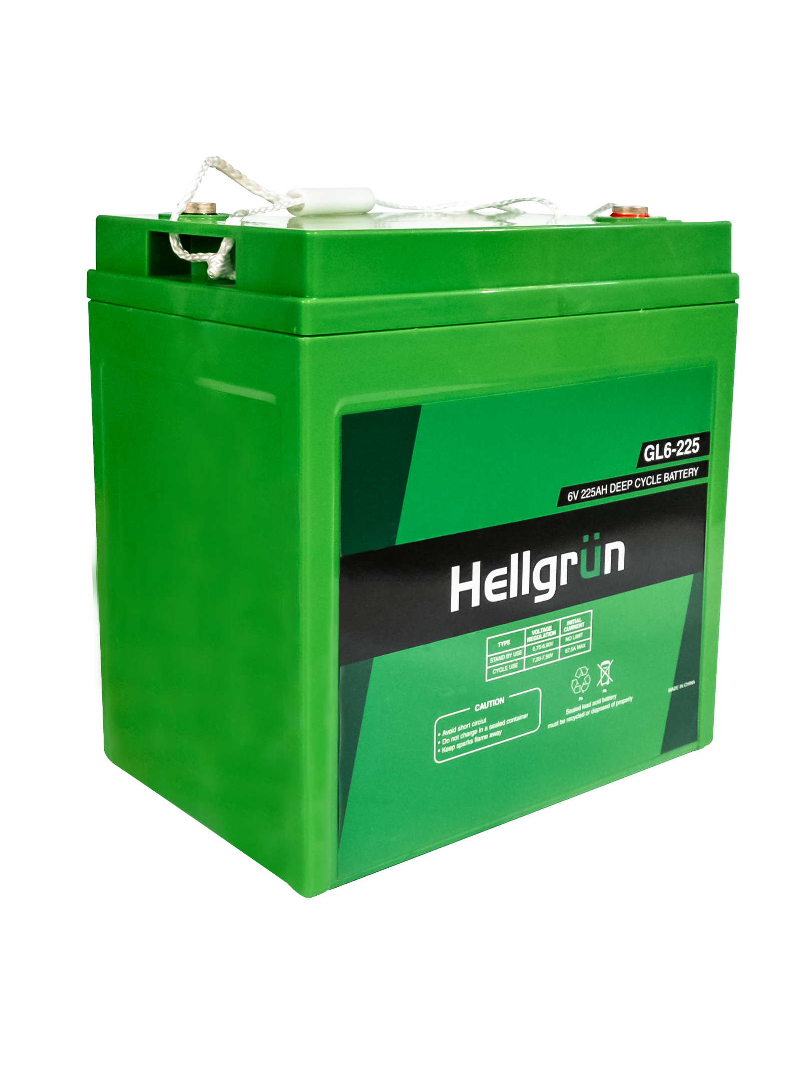 Hellgrün ciclo profundo 6v 225ah